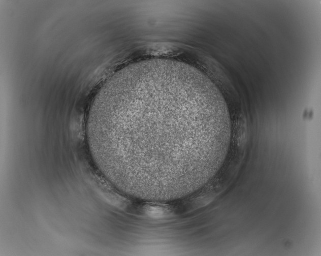 X0000113200510200910011259