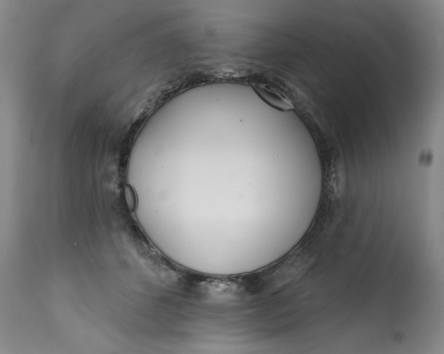 X0000113200512200910011259