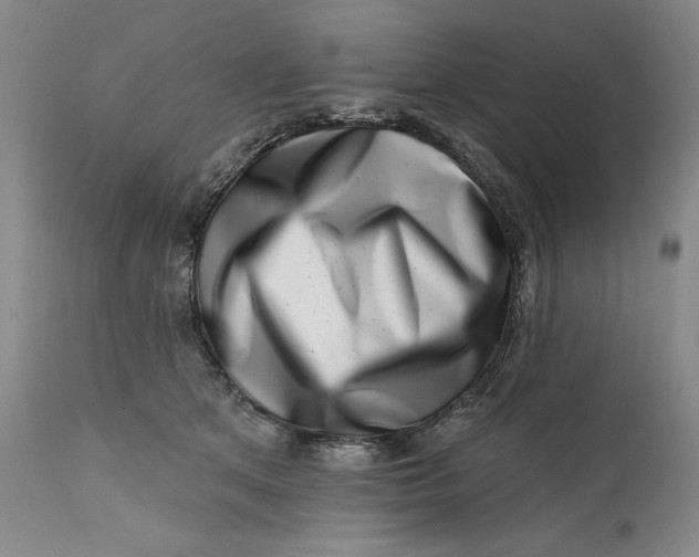 X0000113200513200910011259