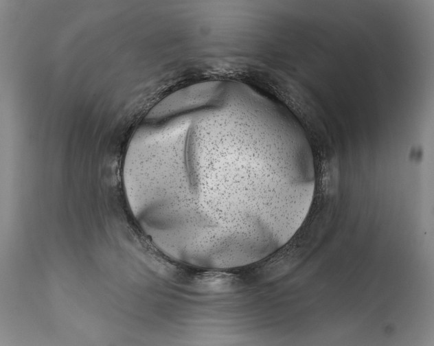 X0000113200514200910011259