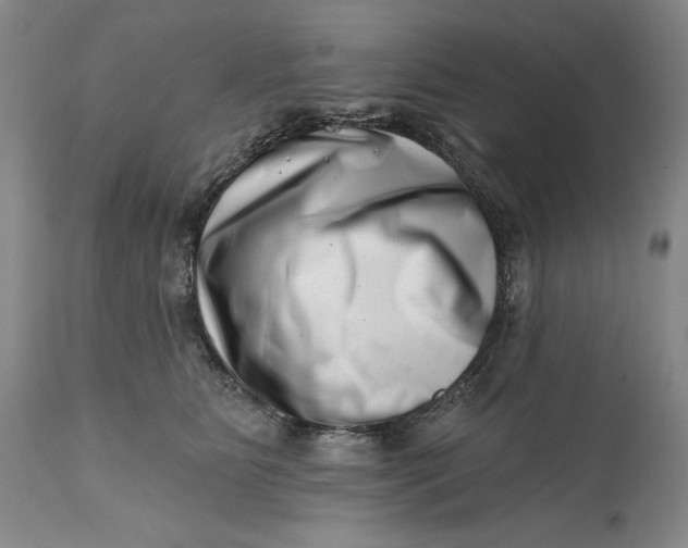 X0000113200515200910011259