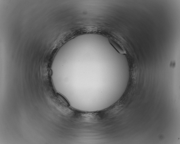 X0000113200516200910011259