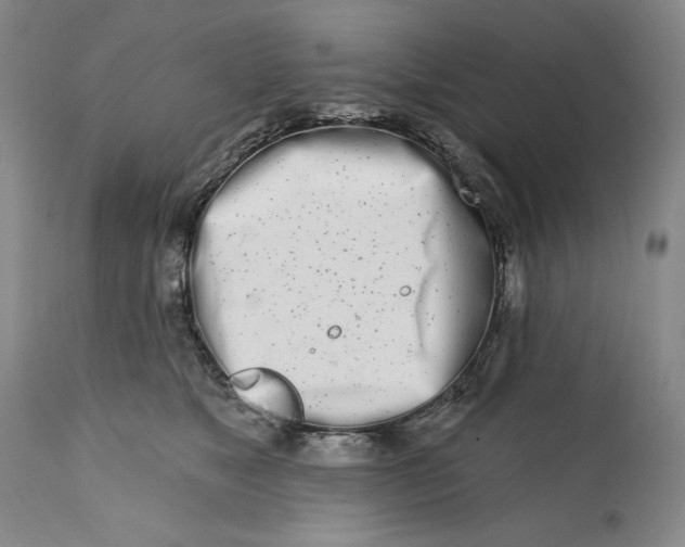 X0000113200517200910011259