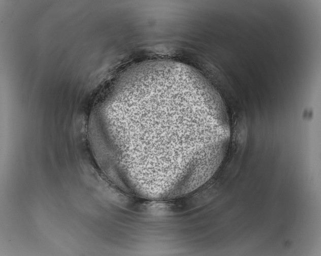 X0000113200518200910011259