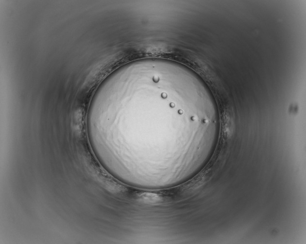 X0000113200519200910011259