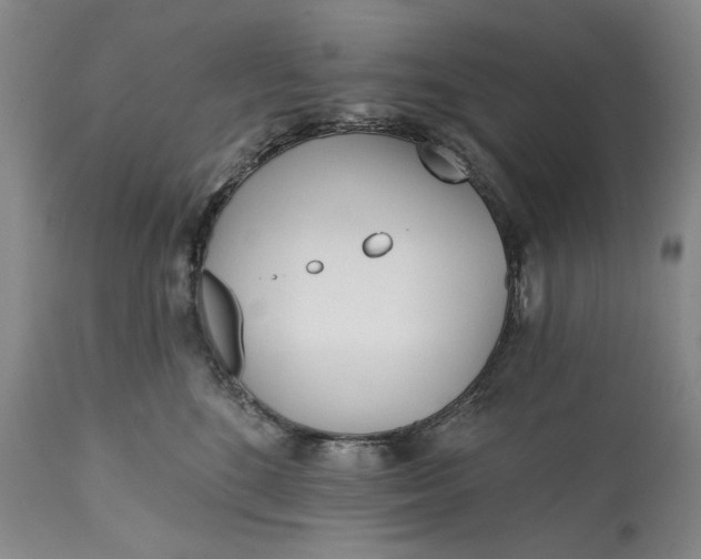 X0000113200520200910011259