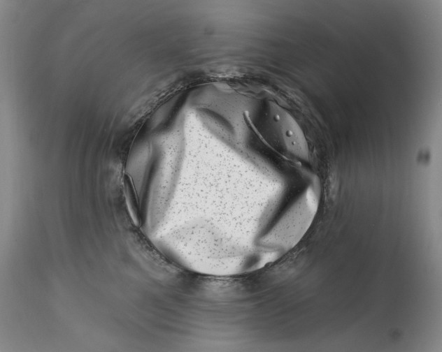 X0000113200521200910011259