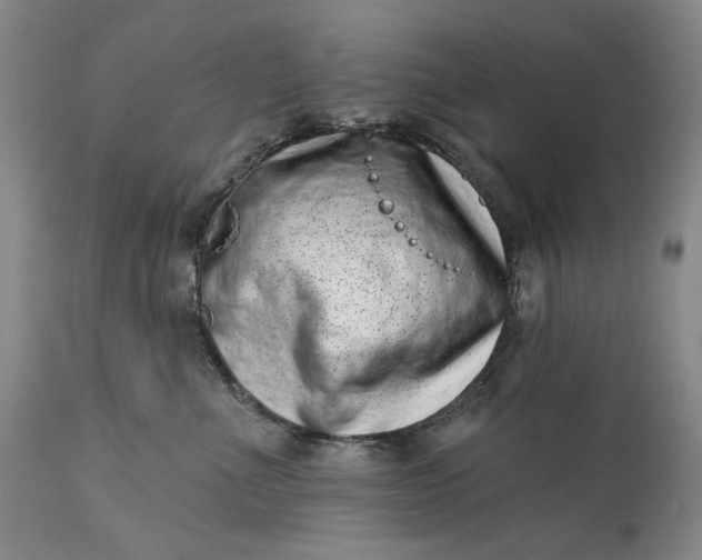 X0000113200523200910011259