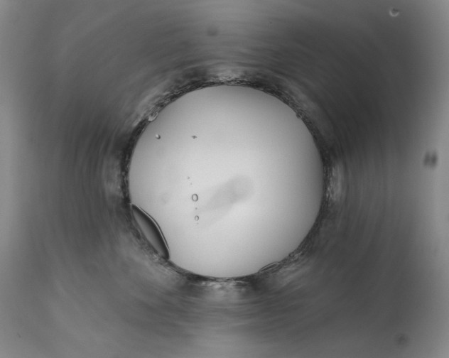 X0000113200524200910011259