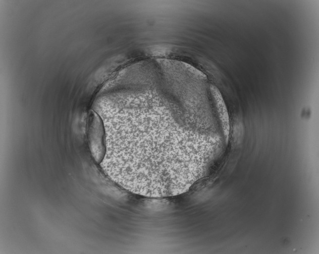 X0000113200525200910011259