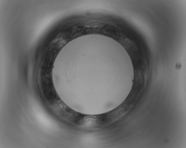 X0000113200526200910011259