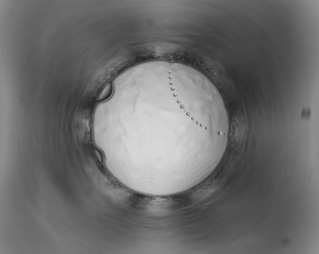 X0000113200527200910011259