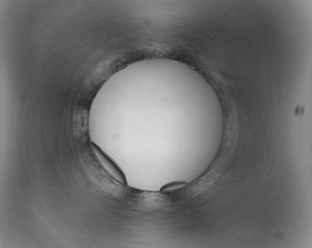 X0000113200528200910011259