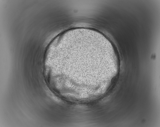 X0000113200529200910011258