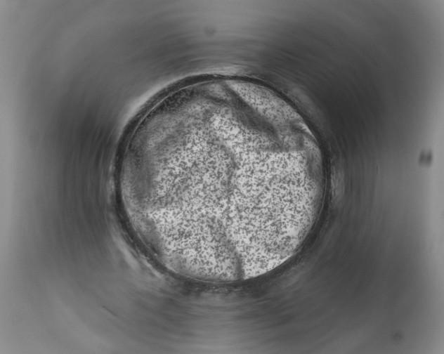 X0000113200532200910011258