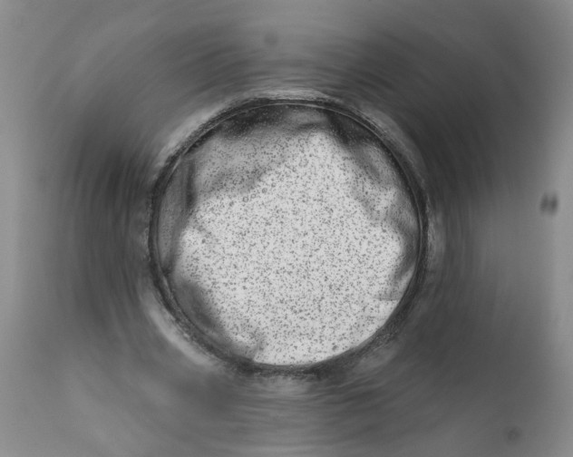 X0000113200533200910011258