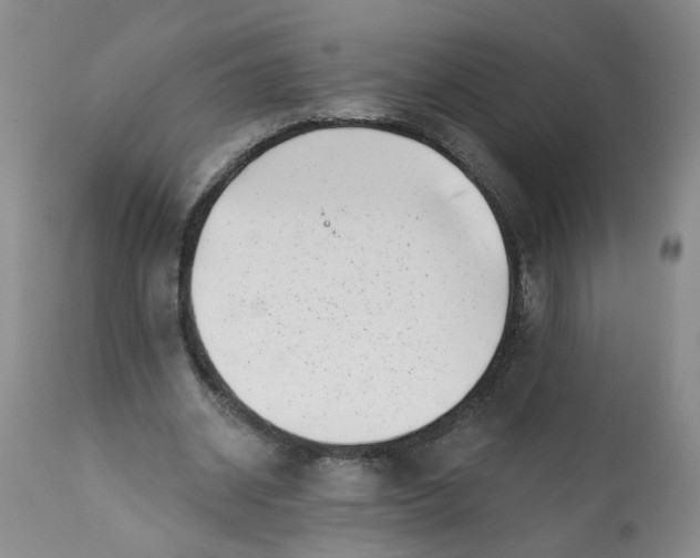 X0000113200534200910011258