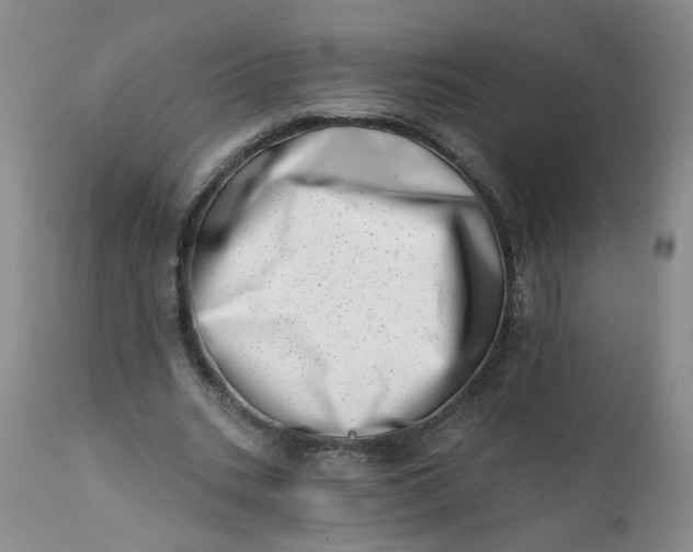 X0000113200535200910011258