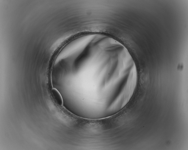 X0000113200536200910011258