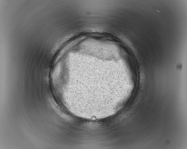 X0000113200537200910011258