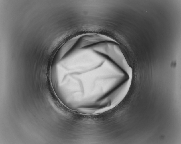 X0000113200538200910011258