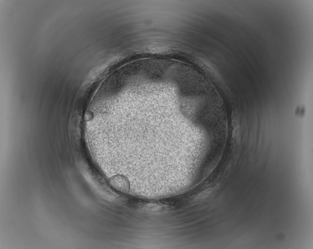 X0000113200542200910011258