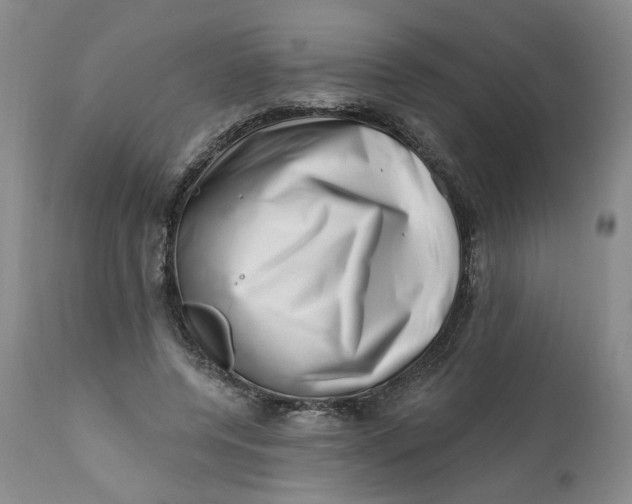 X0000113200544200910011258