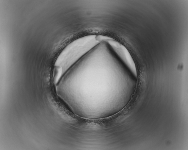 X0000113200545200910011258