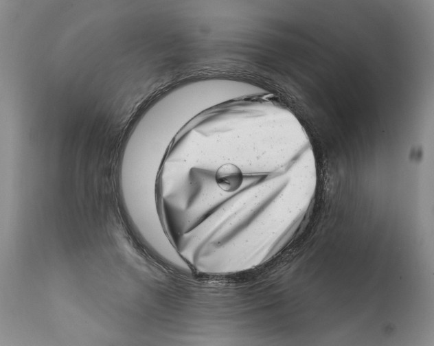 X0000113200546200910011258