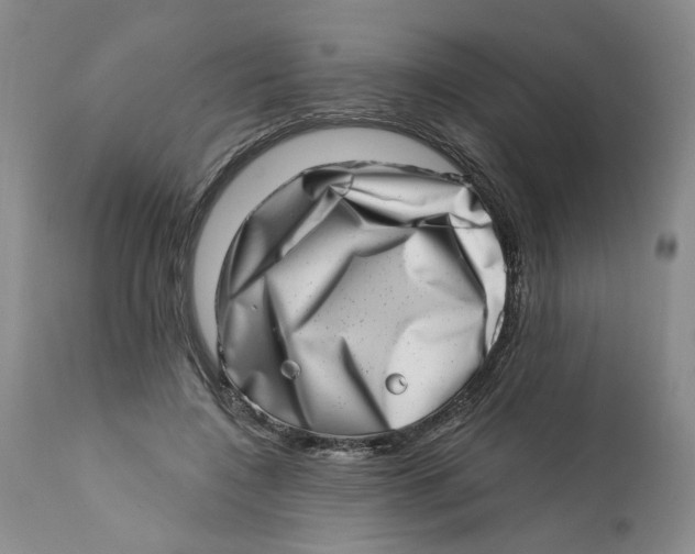 X0000113200548200910011258