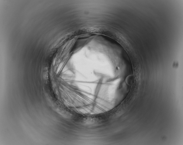 X0000113200549200910011258