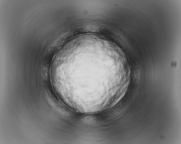 X0000113200551200910011258