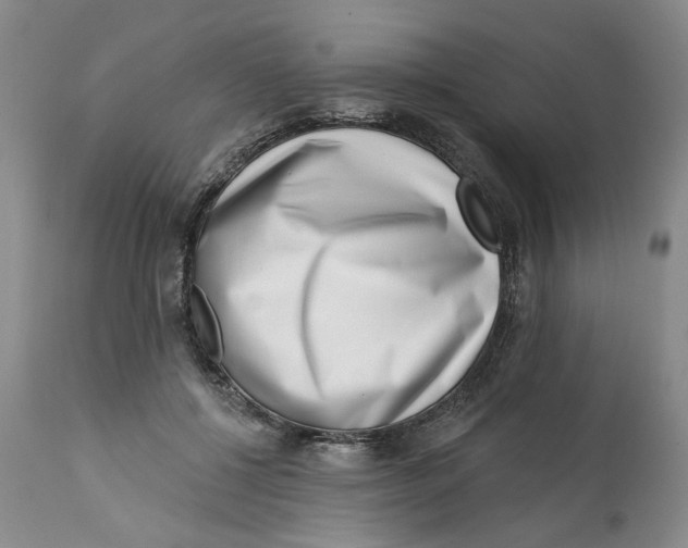 X0000113200552200910011258