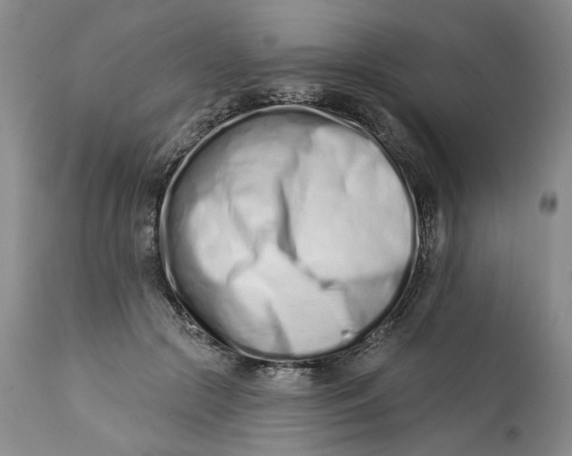 X0000113200553200910011258