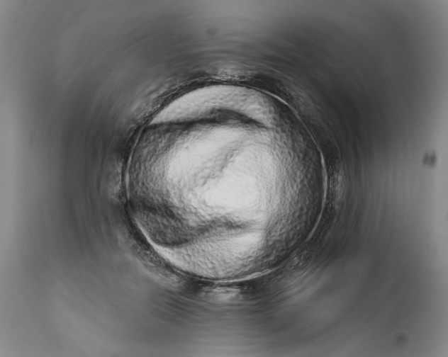 X0000113200554200910011258