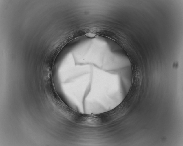 X0000113200555200910011258