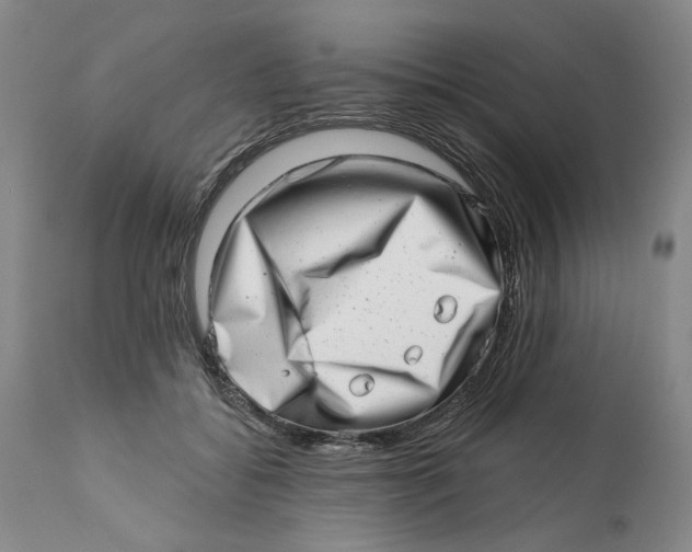 X0000113200556200910011258