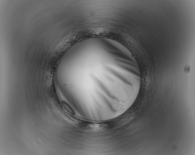 X0000113200558200910011258