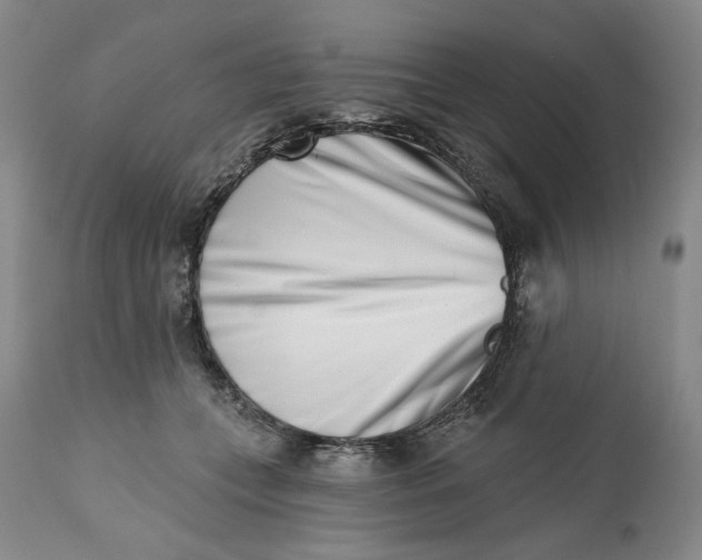 X0000113200559200910011258