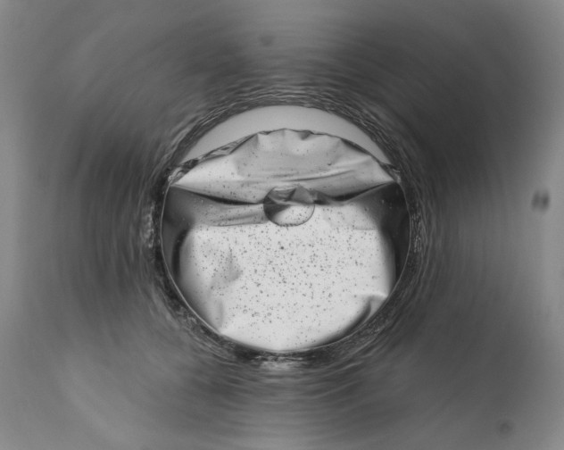 X0000113200560200910011258