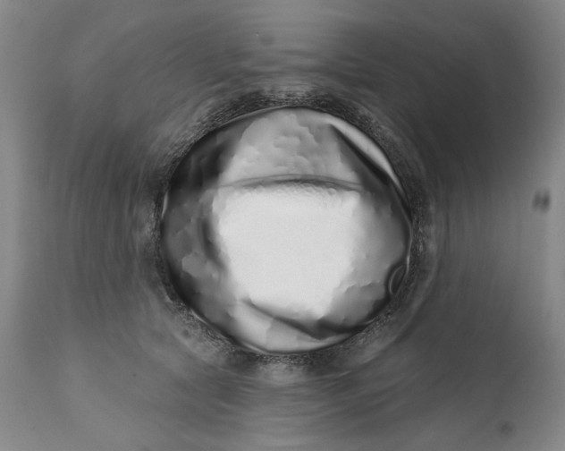 X0000113200561200910011258