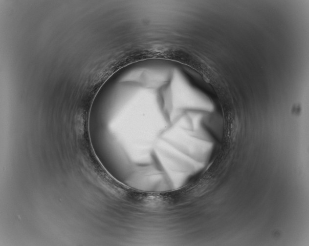 X0000113200562200910011259