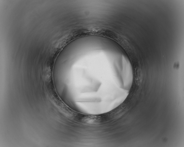 X0000113200563200910011259