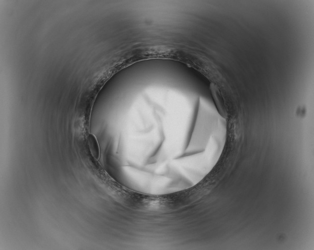 X0000113200564200910011259