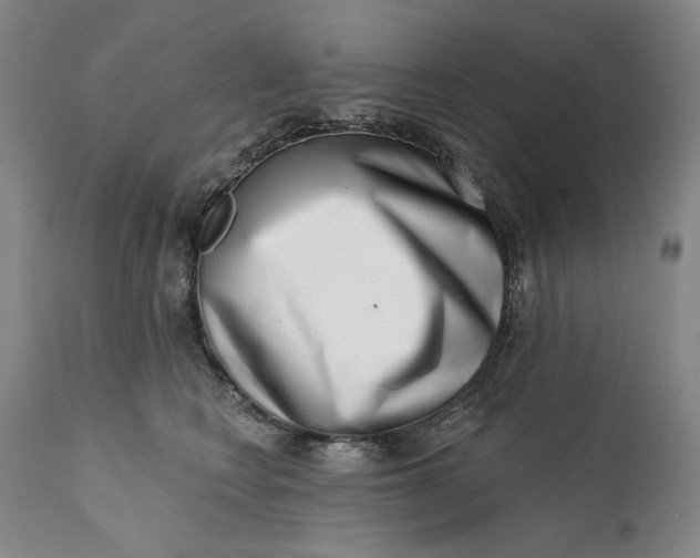 X0000113200566200910011259