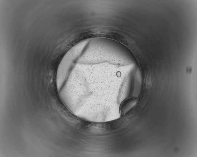 X0000113200567200910011259