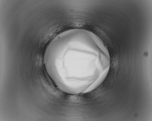 X0000113200568200910011259