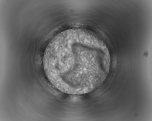 X0000113200569200910011259