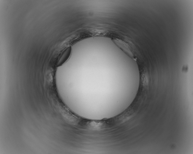 X0000113200570200910011259