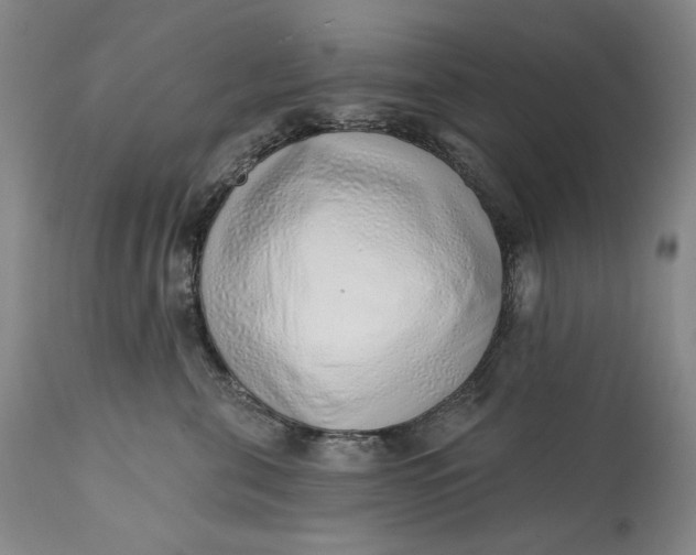 X0000113200571200910011259